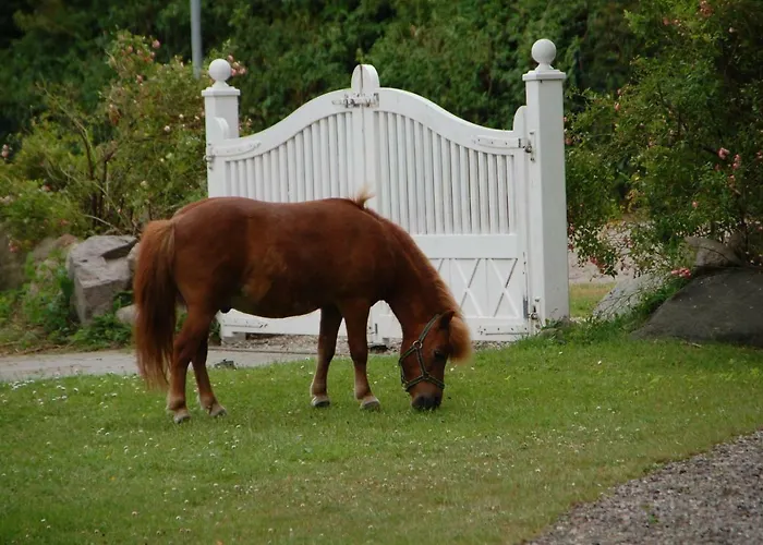 Ostseepferdehof